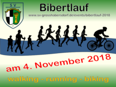 Bibertlauf 2018