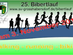 Bibertlauf 2019